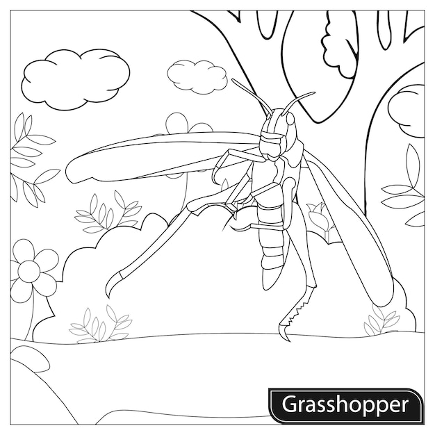 Grasshopper Coloring Page for Kids