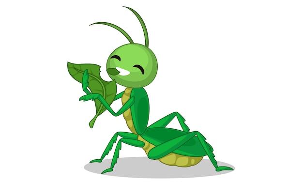 Vector grasshopper eating leaf cartoon vector illustration