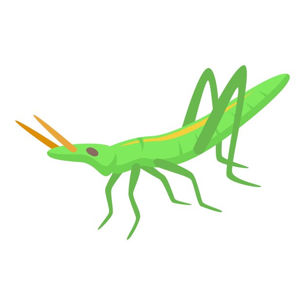 Vector grasshopper icon isometric vector nature insect