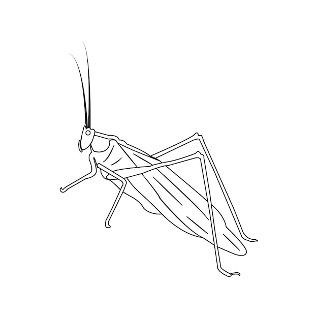 grasshopper icon 861234 954