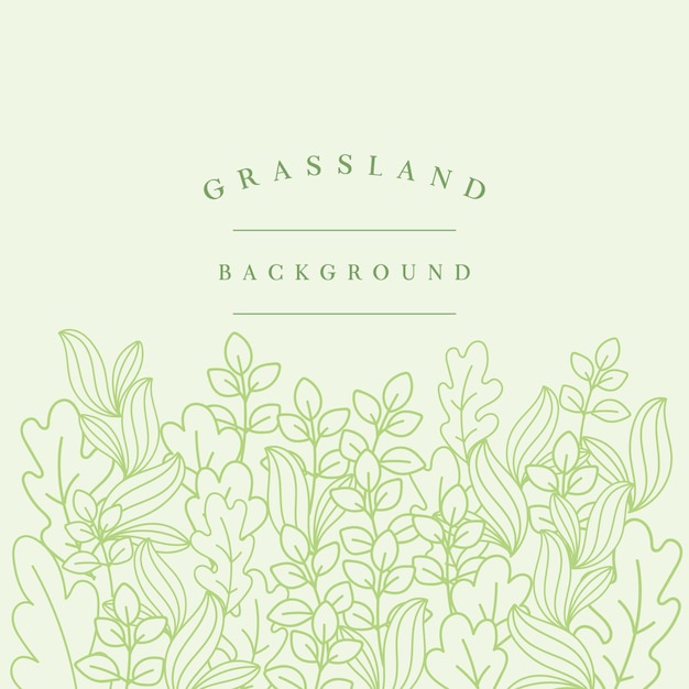 Vector grassland background