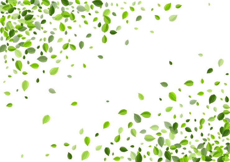 グラッシーリーブスハーブコンセプト。フライグリーンの壁紙。沼の葉茶のイラスト。葉の風のバナー。