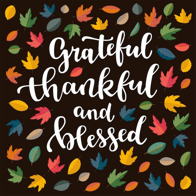 Vector grateful, thankful and blessed, thanksgiving quote.