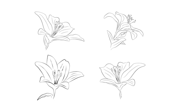 Gratis vector mooie handtekening en schets decoratieve bloemen