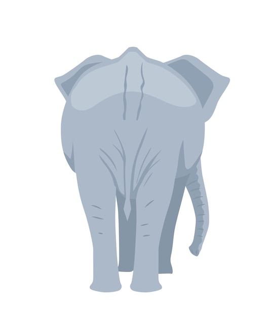 Gray african elephant concept