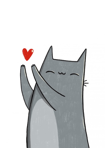 Gatto grigio con un cuore