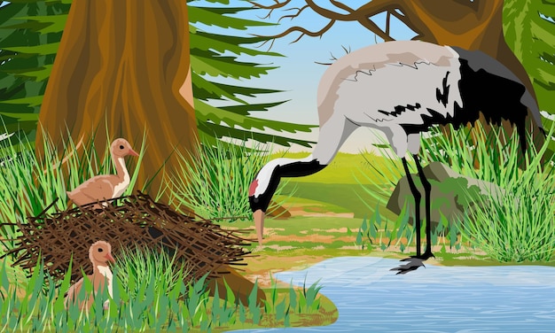 Vector gray crane about a forest lake with its chicks in the nest spruce forest