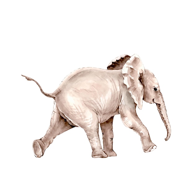 Акварельная иллюстрация серого слона