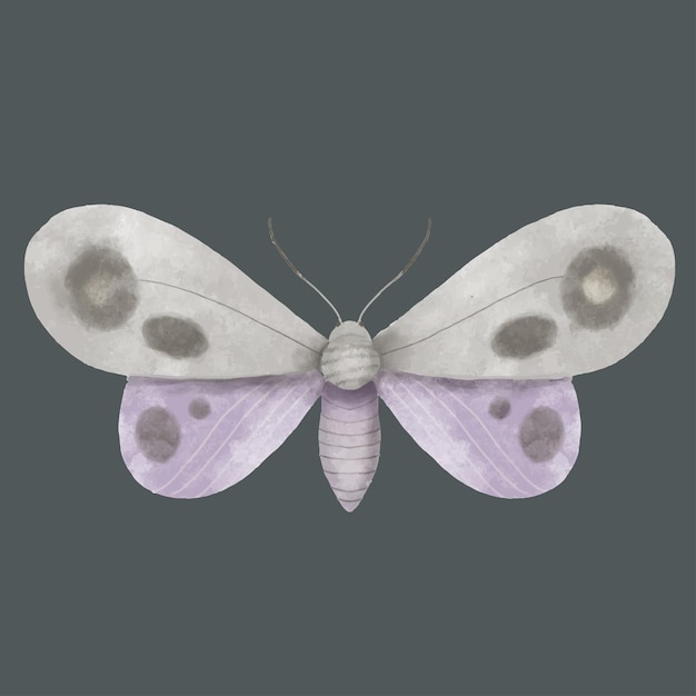 Gray moth watercolor