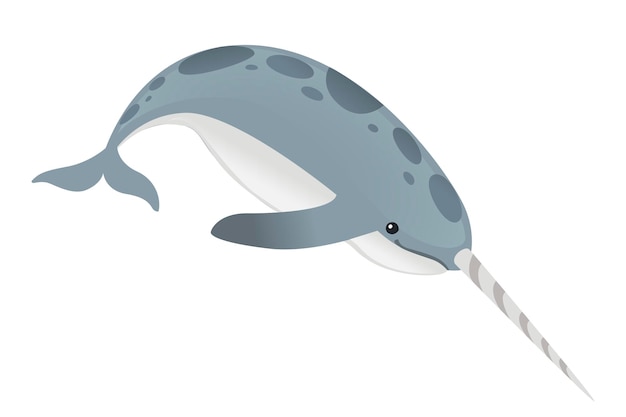 Grigio narvalo (monodon monoceros) balena dentata con zanna fumetto mare carattere piatto illustrazione vettoriale isolato su sfondo bianco.