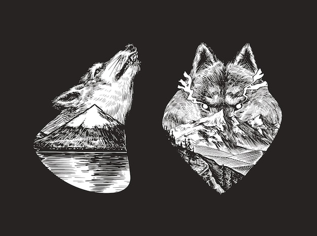 Vector gray wolf logo and badge forest and mountain and hill double exposure concept a predatory beast wild