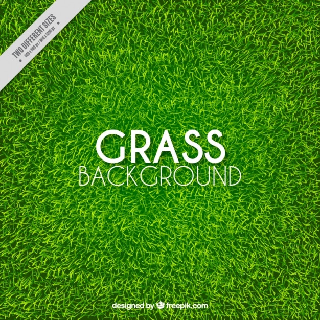 Vector great background of realistic grass