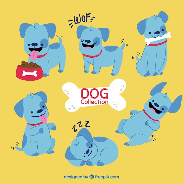 Great collection of funny blue dog