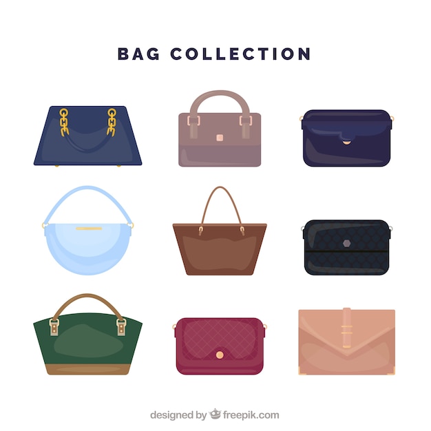 Вектор Большая коллекция сумок женщины