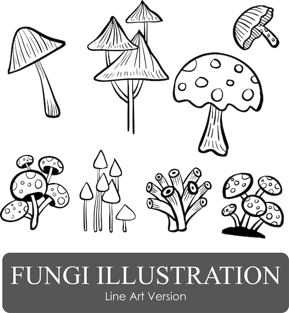 Vector great hand drawn mushroom illustration line art