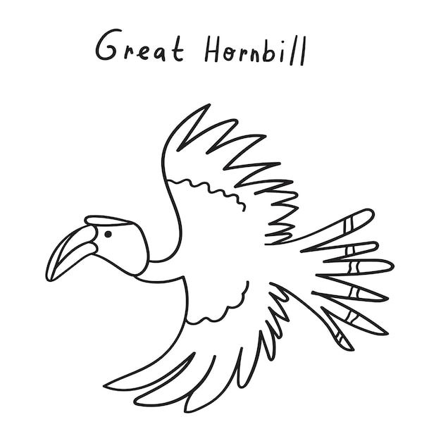 Great Hornbill flying. Vector illustration. Outline graphic design on white background.