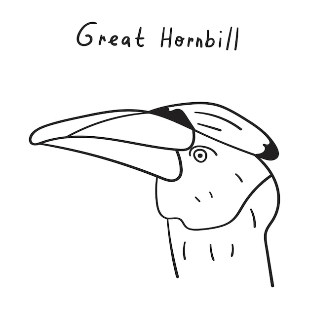 Great Hornbill. Outline illustration. Vector graphic design on white background.