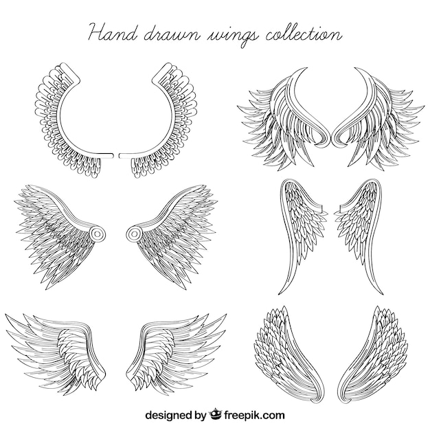 Vector great pack of hand-drawn wings