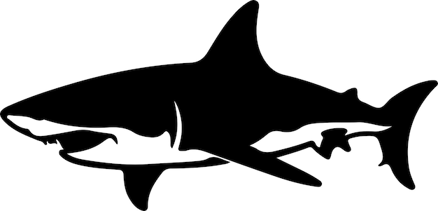 Vector great white shark black silhouette with transparent background