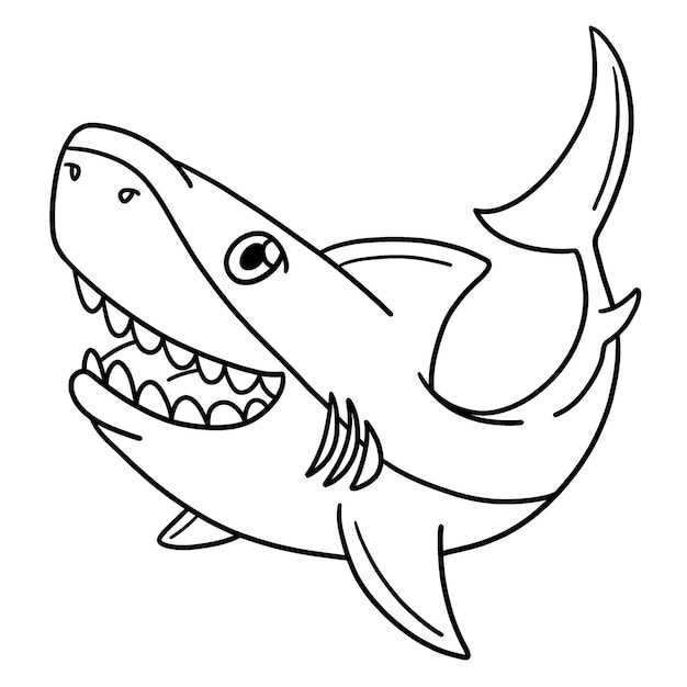 Vector great white shark isolated coloring page for kids