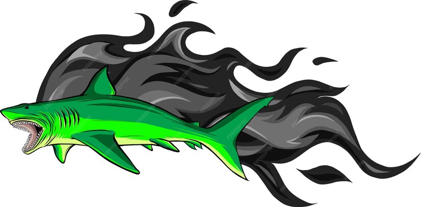 Premium Vector | Great white shark vector illustratio design on white