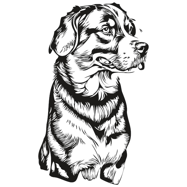 Вектор логотипа большого швейцарского зенненхунда черно-белый винтажный милый собачий голова с выгравированной реалистичной породой домашнего животного
