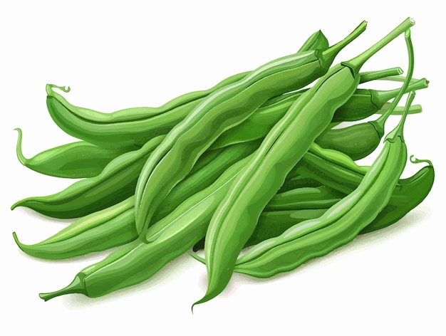 Greeb beans isolated on white background