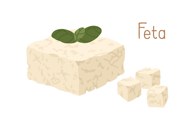 Греческий мягкий творожный сыр с зелеными листьями. Кусок и кубики сыра Фета. Рассыпчатый молочный продукт. Цветная плоская векторная иллюстрация деликатесов на белом фоне.