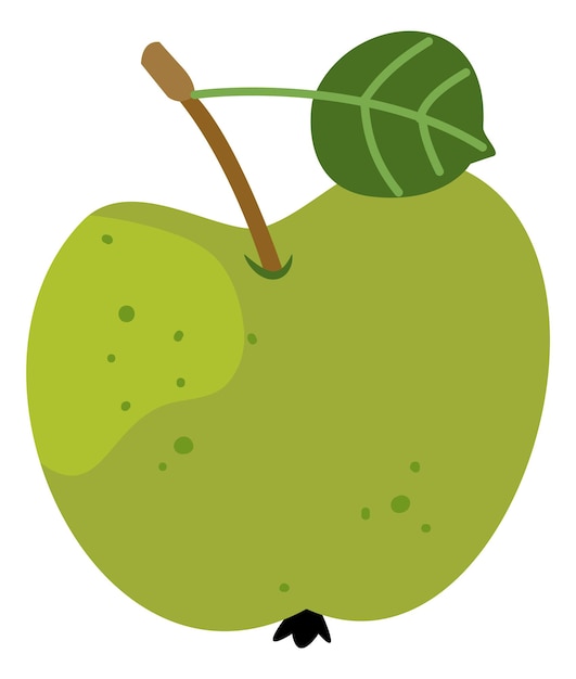 Green apple icon Teacher day cute symbol