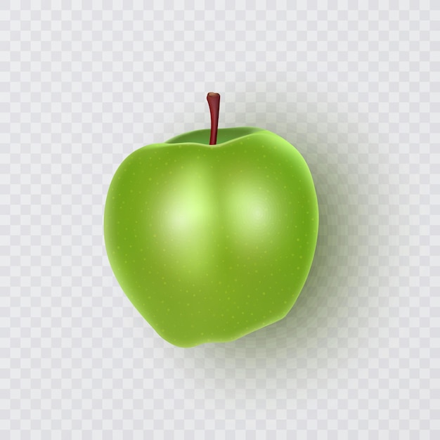 Vettore mela verde isolata su uno sfondo bianco illustrazione vettoriale