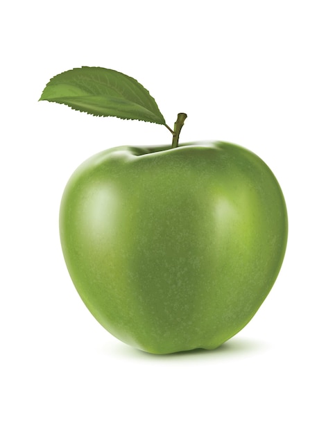 Vector green apple on white.