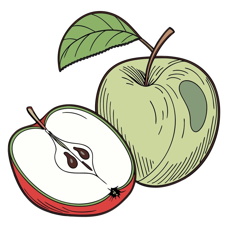 Vector green apple with a slice illustration of a healthy fruit
