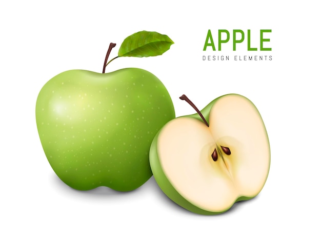 Vector green apples illustration