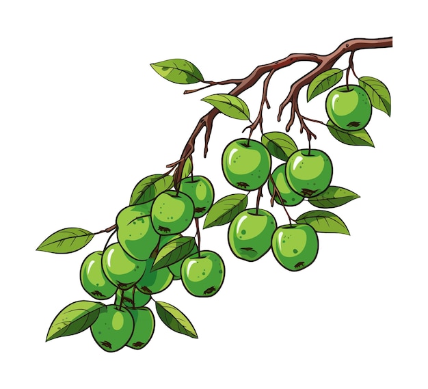 Vector green apples on the tree branch cartoon vector