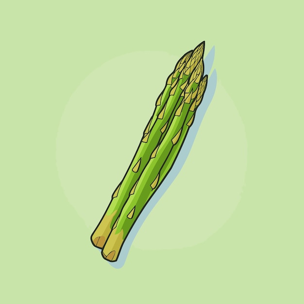 Vettore un asparago verde su sfondo verde