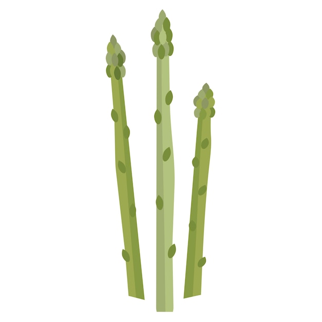 Green asparagus vegetarian food