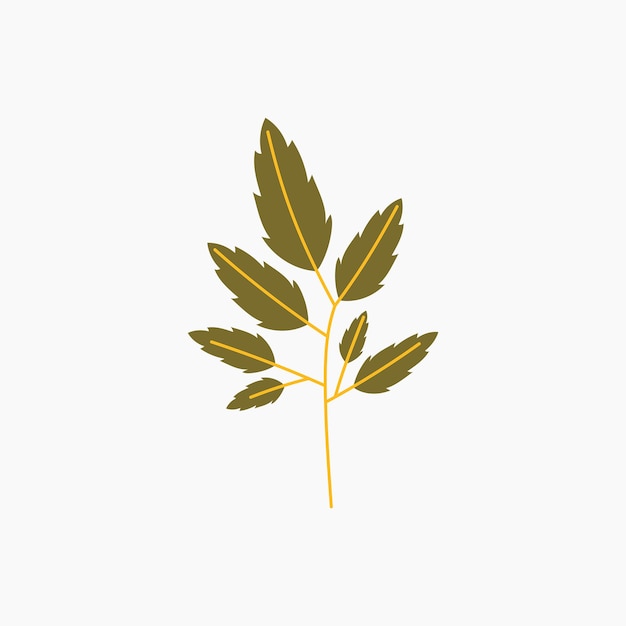 Элемент зеленого осеннего листа