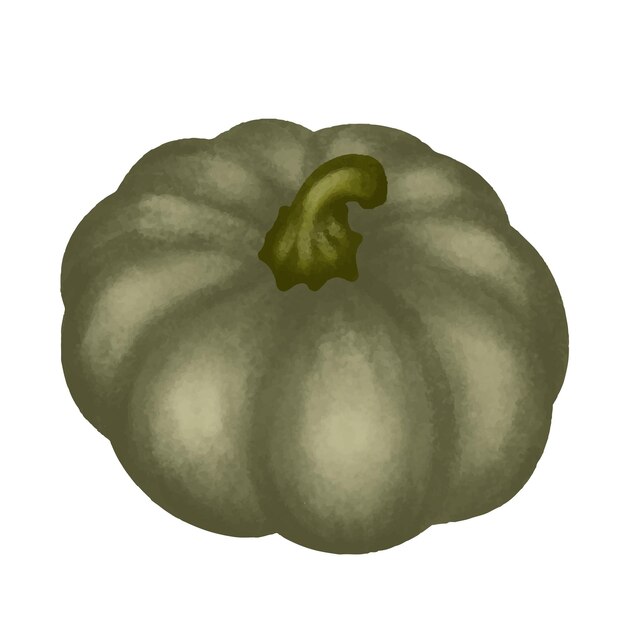 Raccolta di zucca verde d'autunno cibo sano