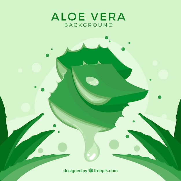 Green background of aloe vera leaves