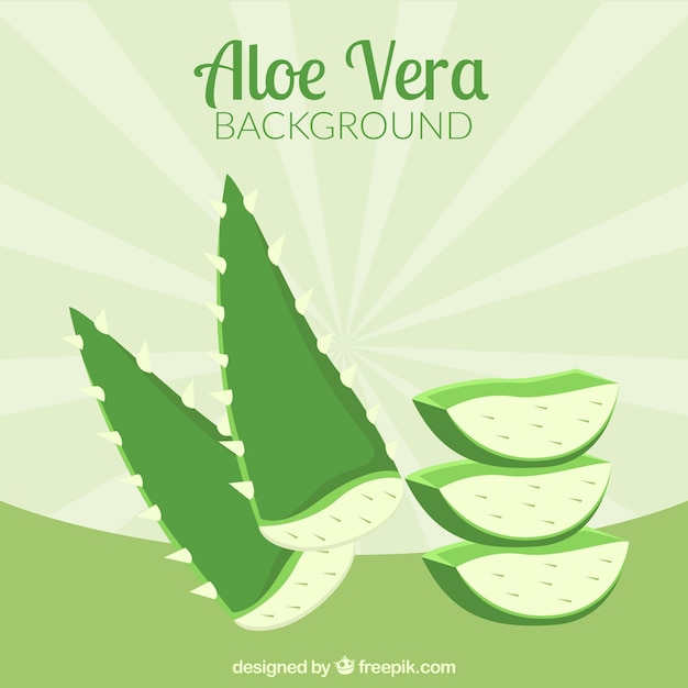 Vector green background of aloe vera plant