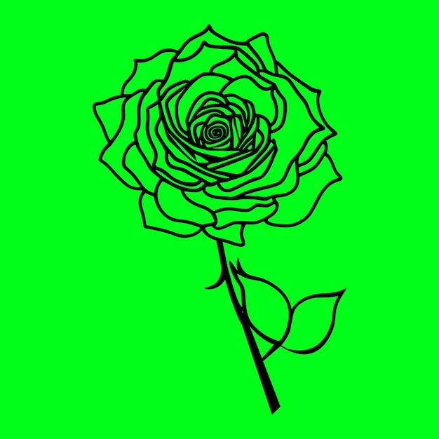 A green background with a flower in the center and a green background.