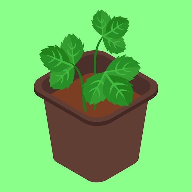 A green background with a potted plant and the words