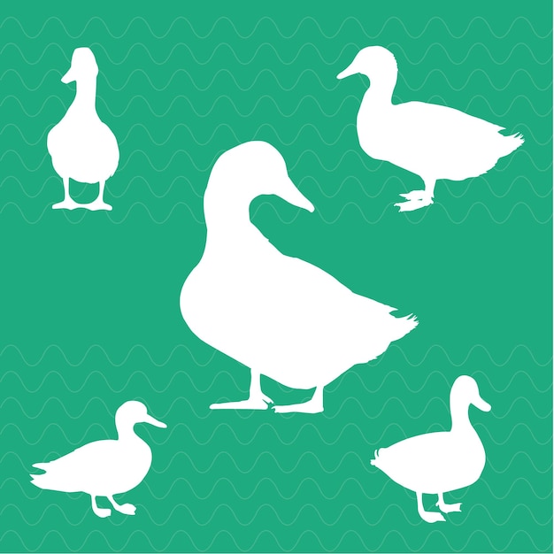 Vector a green background with white birds and a green background.