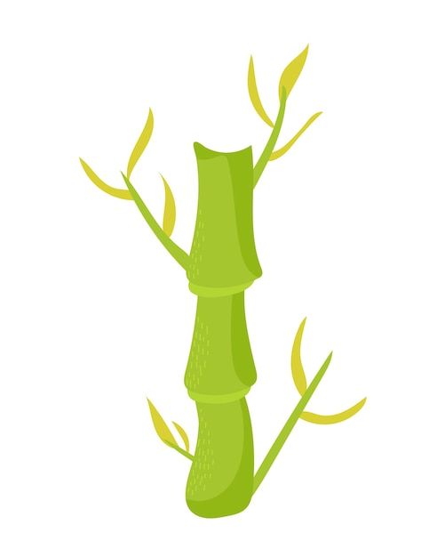 ベクトル 白い背景に分離された緑の竹の茎