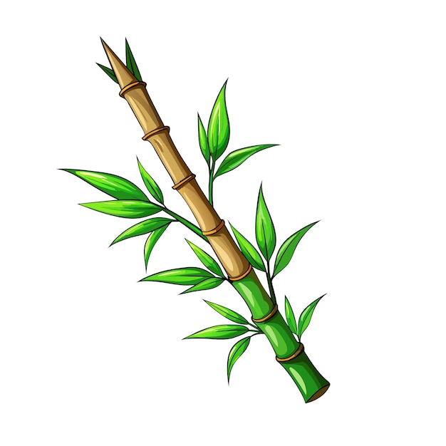 Vettore steli di bambù verdi isolati su uno sfondo bianco