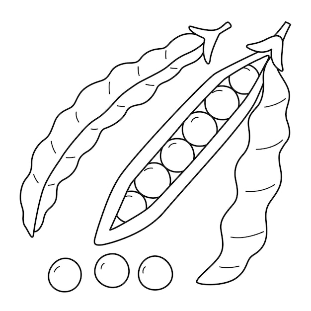 Vector green bean fruit isolated coloring page