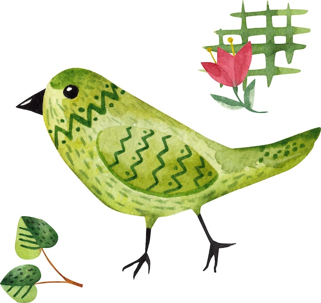 Green bird watercolor illustration