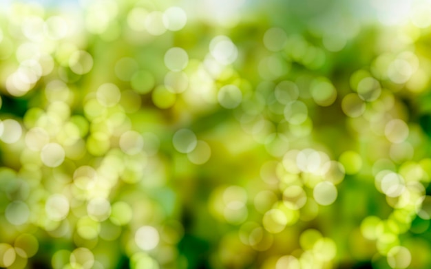 Vector green blur background