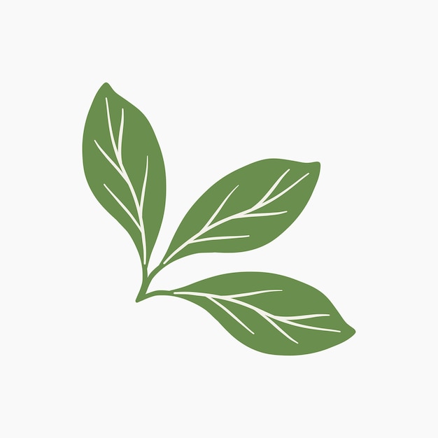 Illustrazione di foglie botaniche verdi