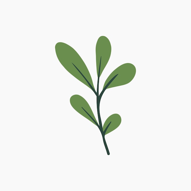 Green botanical leaves illustration